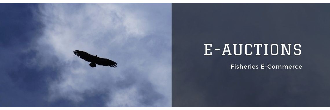 E-Auction-Fish